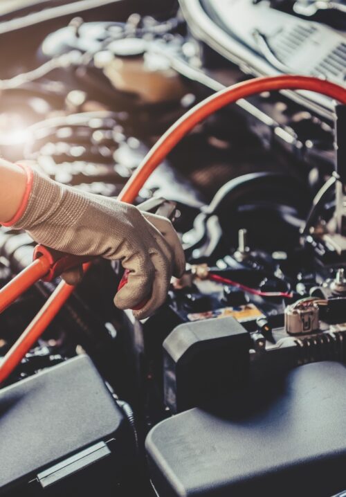 auto strefa witecki auto strefa witecki